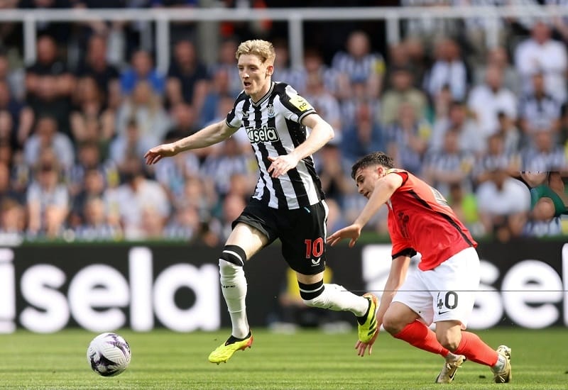 Kết quả bóng đá Newcastle vs Brighton: Chích chòe khiến cuộc đua Europa League thêm gay cấn