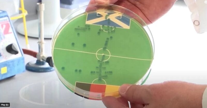 Vi khuẩn E. coli dự đoán ĐT Đức thắng trận mở màn Euro 2024